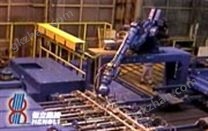 專用機(jī)器人