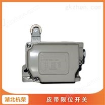HQJK-1628GKH干油泵流量行程開關工作原理