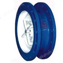 CVKR大口徑止回閥 短系列止回閥