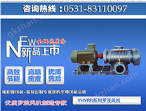 RR型二葉羅茨風(fēng)機(jī)