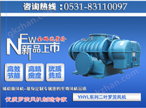 YHL-105(a)二葉羅茨風(fēng)機(jī)