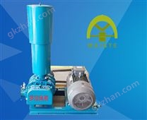 WHSR-100型三葉羅茨風(fēng)機(jī)