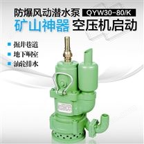 風(fēng)動(dòng)潛水泵