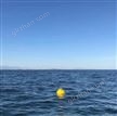 漂流浮标