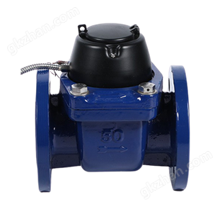 LXLG光電直讀水表（DN50~300)-干式