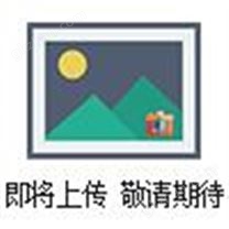 MJ型長方形平板電加熱模具 電話：