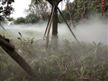 园林人工造雾设计方案