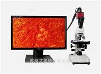 A32ST 生物顯微鏡
