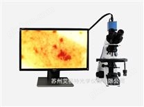 AH200S生物顯微鏡