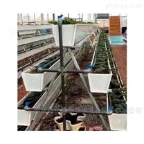 四川長寧縣節水灌溉滴灌帶常用規格型號